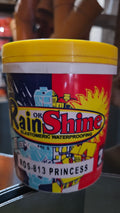 Rain or Shine Elastomeric Waterproofing paint 1L Color (PRINCESS)