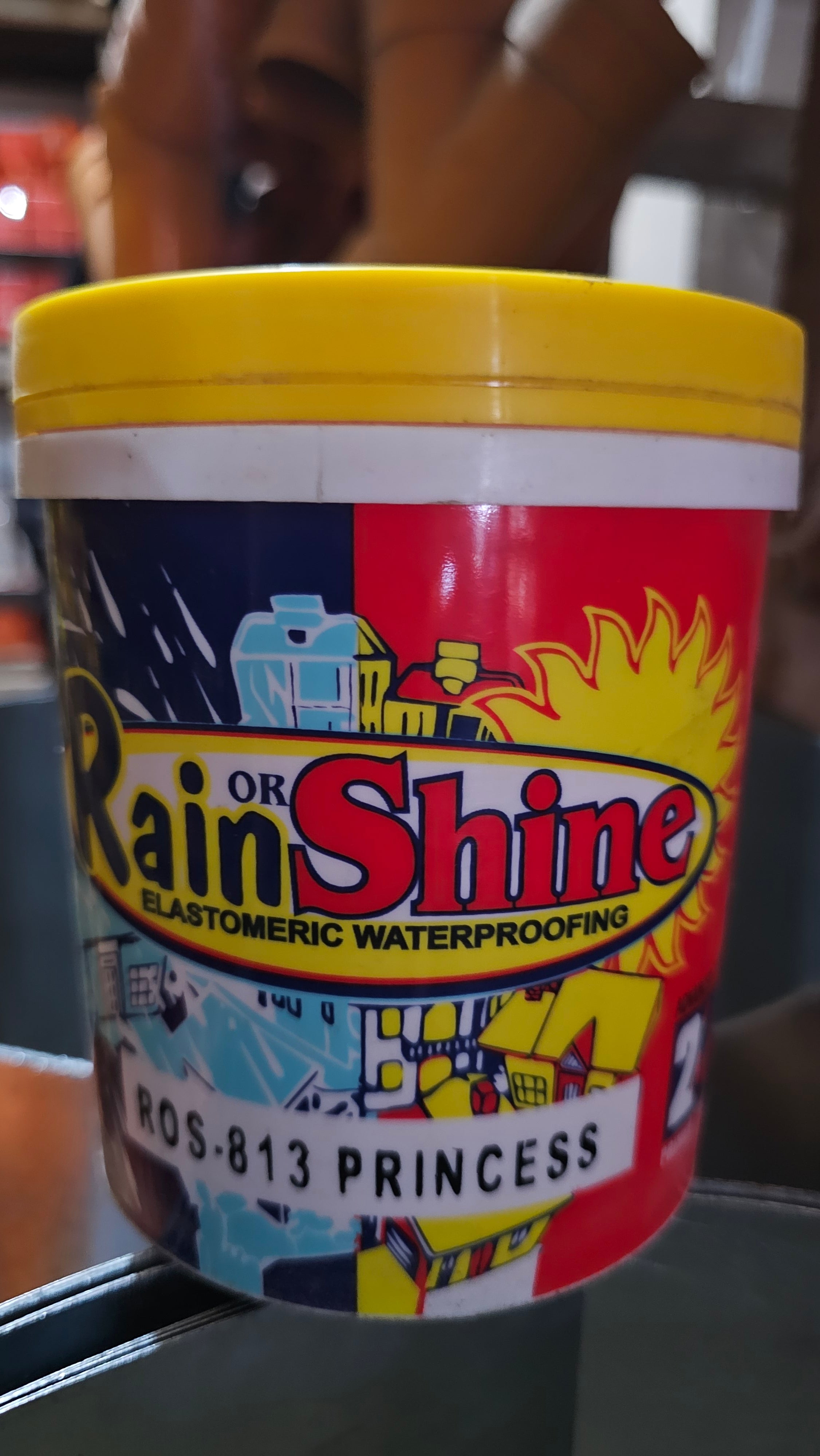 Rain or Shine Elastomeric Waterproofing paint 1L Color (PRINCESS)
