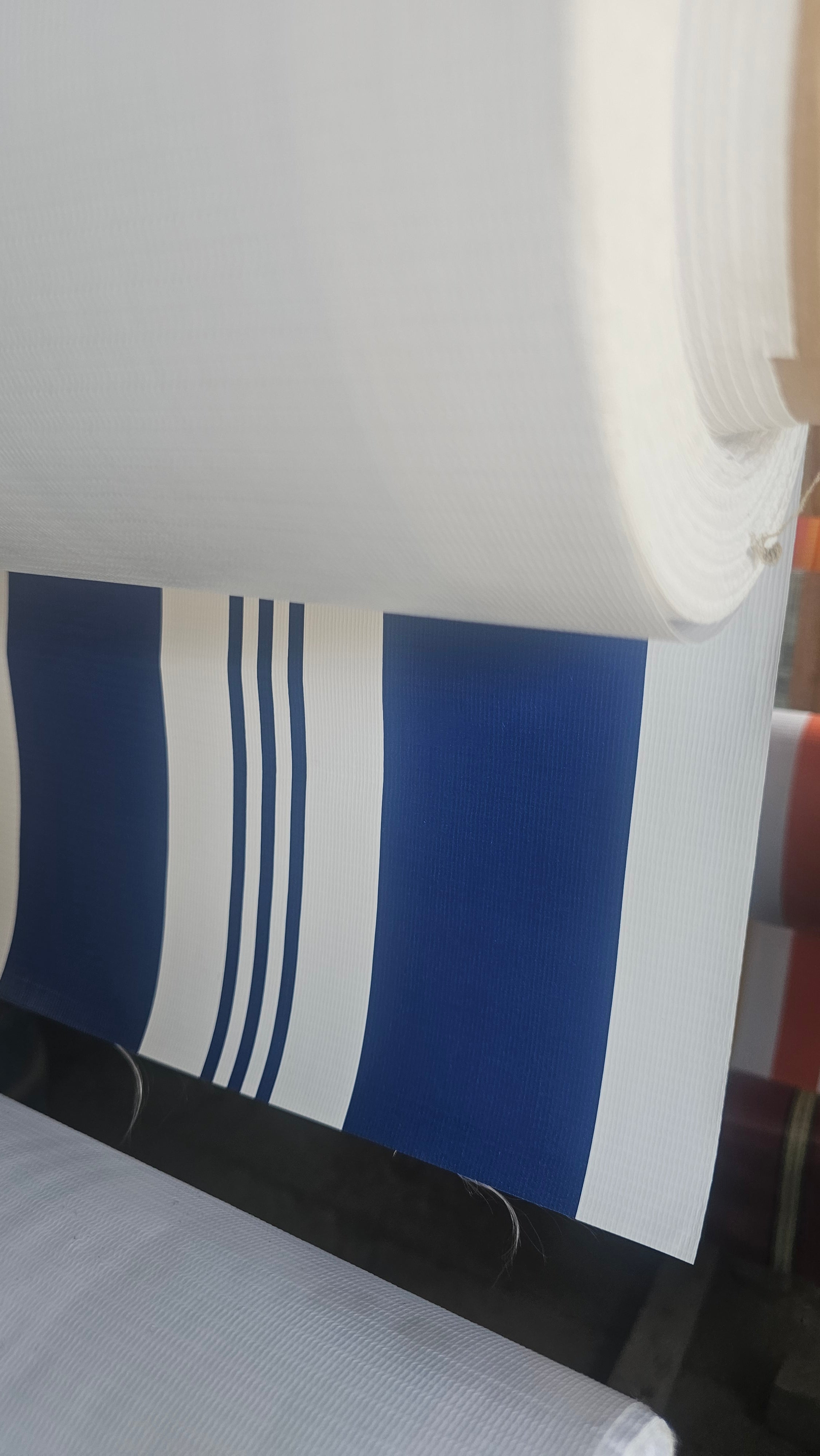 Trapal Single-Stripe Blue/White