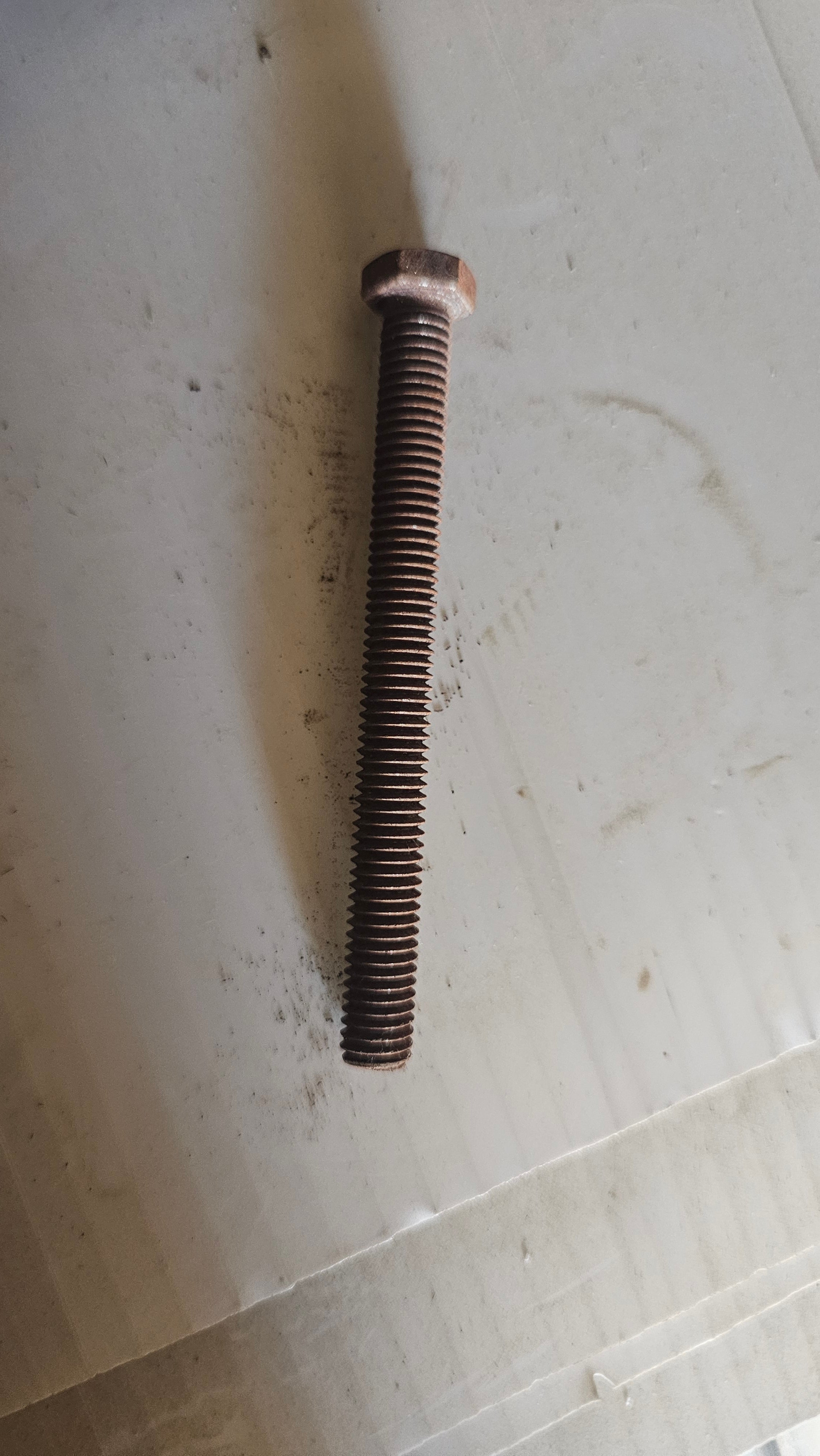 Bolt (1/2 x 5)
