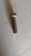 Bolt (1/2 x 45mm)