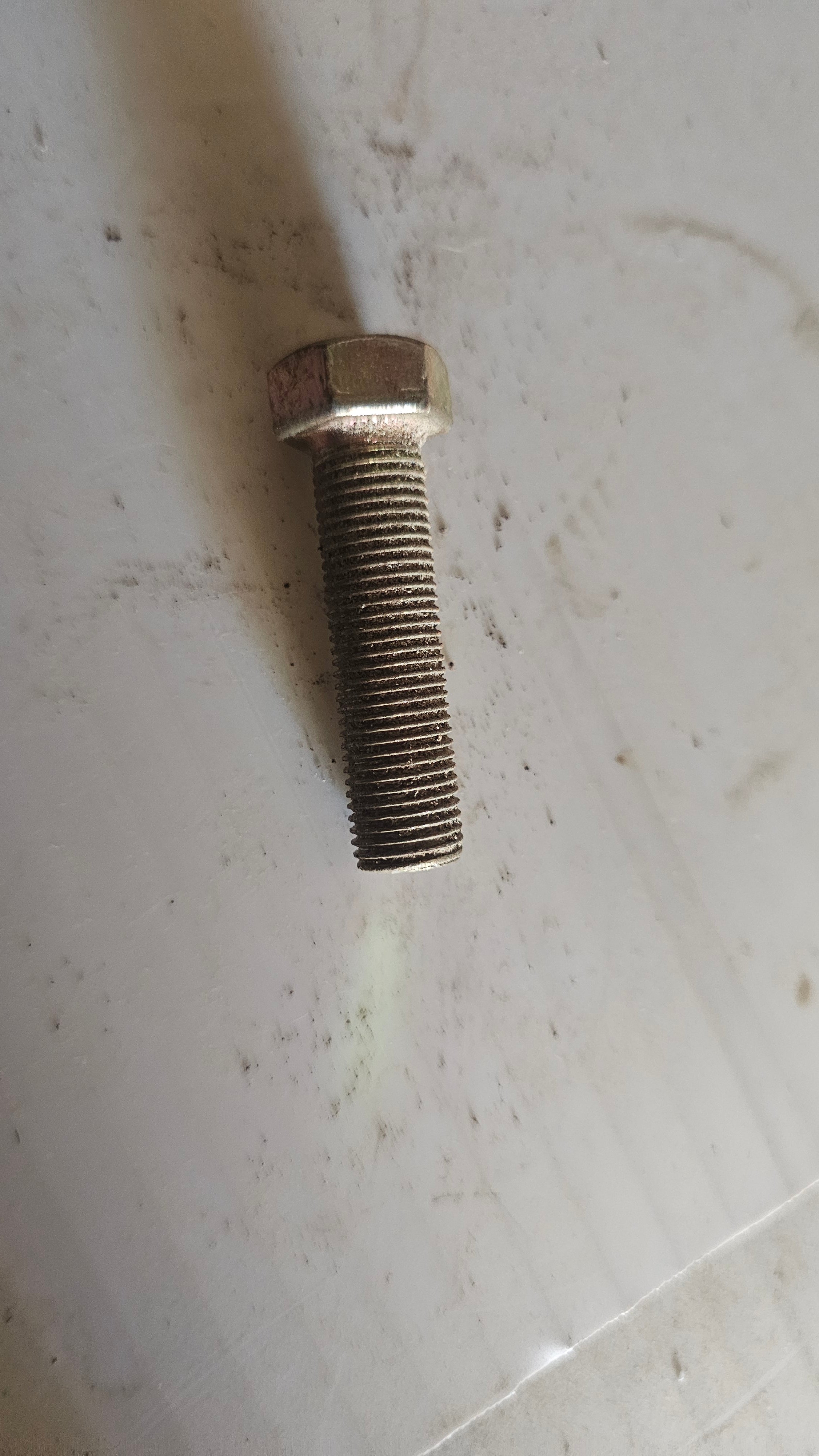 Bolt (1/2 x 45mm)