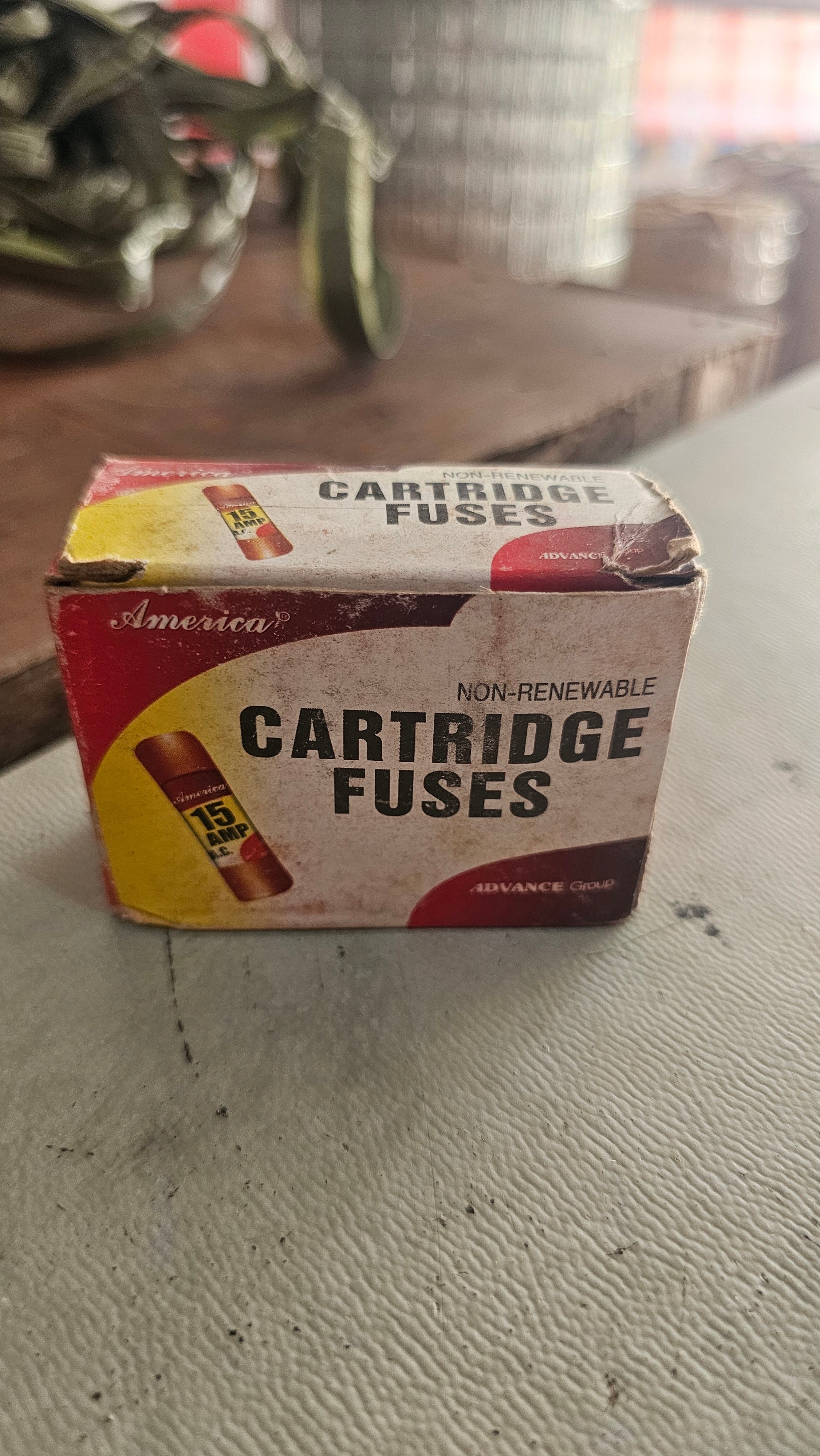 Cartridge FUSE (America), 15A